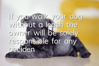 If you walk your dog without a leash, the owner will be solely responsible for any accidents.