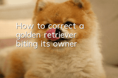 How to correct a golden retriever biting its owner