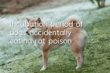 Incubation period of dogs accidentally eating rat poison