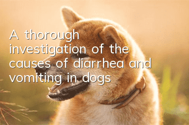 A thorough investigation of the causes of diarrhea and vomiting in dogs