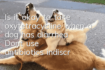 Is it okay to take oxytetracycline when a dog has diarrhea? Don’t use antibiotics indiscriminately