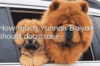 How much Yunnan Baiyao should dogs take?