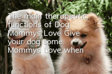 The main therapeutic functions of Dog Mommy’s Love: Give your dog some Mommy’s Love when it eats too much