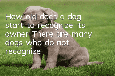 How old does a dog start to recognize its owner? There are many dogs who do not recognize their owner until they are adults.