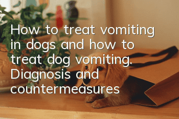 How to treat vomiting in dogs and how to treat dog vomiting. Diagnosis and countermeasures of dog symptoms.