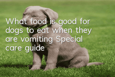 What food is good for dogs to eat when they are vomiting? Special care guide