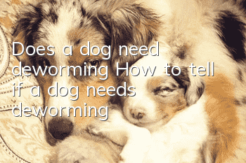 Does a dog need deworming? How to tell if a dog needs deworming?