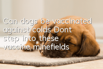 Can dogs be vaccinated against colds? Don’t step into these vaccine minefields