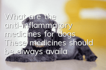 What are the anti-inflammatory medicines for dogs? These medicines should be always available when raising pets at home.