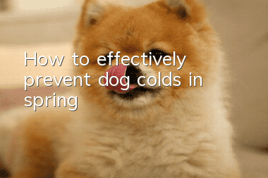 How to effectively prevent dog colds in spring