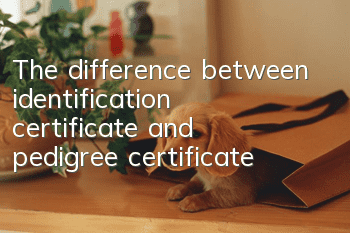 The difference between identification certificate and pedigree certificate