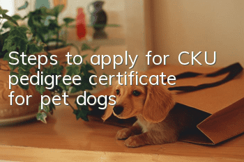 Steps to apply for CKU pedigree certificate for pet dogs