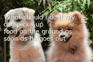 What should I do if my dog picks up food on the ground as soon as he goes out?