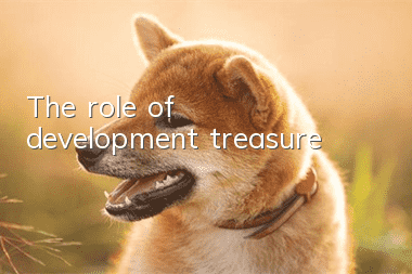 The role of development treasure