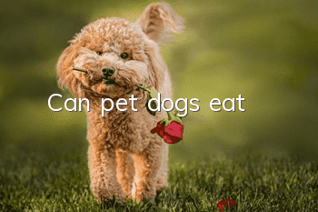 Can pet dogs eat?
