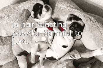 Is hair blasting powder harmful to pets?