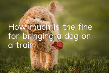 How much is the fine for bringing a dog on a train?