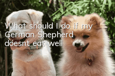 What should I do if my German Shepherd doesn’t eat well?