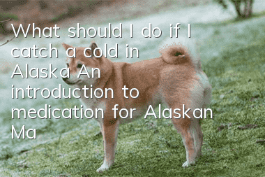 What should I do if I catch a cold in Alaska? An introduction to medication for Alaskan Malamutes