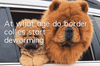 At what age do border collies start deworming?