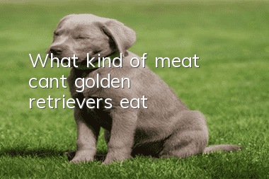What kind of meat can’t golden retrievers eat?