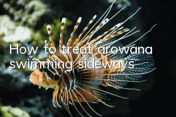 How to treat arowana swimming sideways