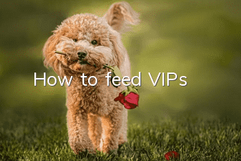 How to feed VIPs