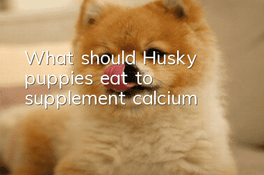 What should Husky puppies eat to supplement calcium?