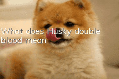 What does Husky double blood mean?