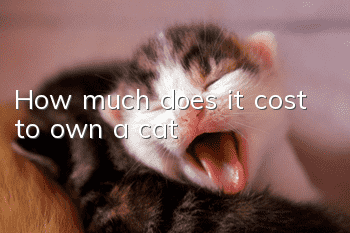 How much does it cost to own a cat