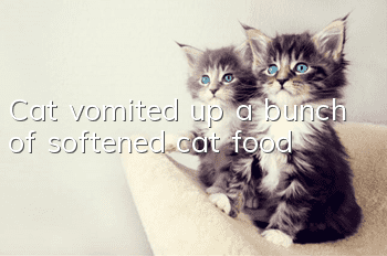 Cat vomited up a bunch of softened cat food