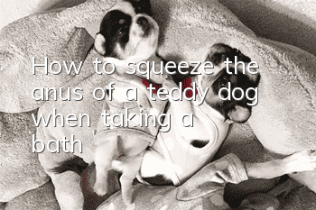 How to squeeze the anus of a teddy dog when taking a bath