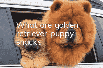 What are golden retriever puppy snacks?