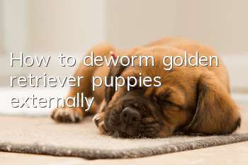How to deworm golden retriever puppies externally