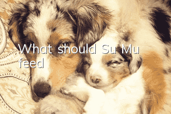 What should Su Mu feed?