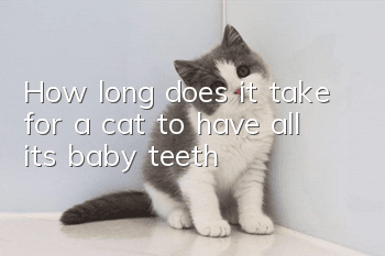 How long does it take for a cat to have all its baby teeth?