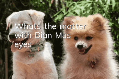 What's the matter with Bian Mu's eyes?