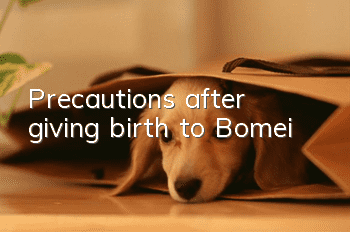 Precautions after giving birth to Bomei