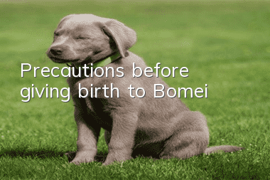 Precautions before giving birth to Bomei