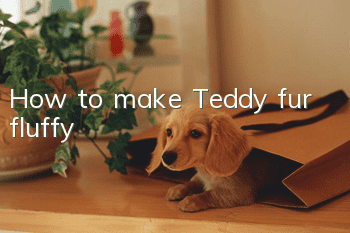 How to make Teddy fur fluffy