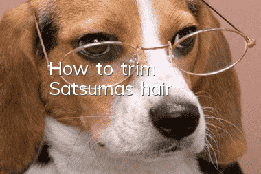 How to trim Satsuma's hair