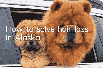 How to solve hair loss in Alaska