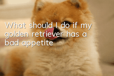 What should I do if my golden retriever has a bad appetite?