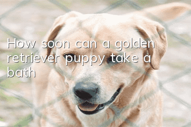 How soon can a golden retriever puppy take a bath?