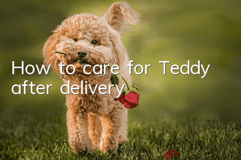 How to care for Teddy after delivery