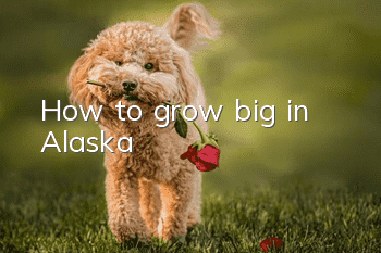 How to grow big in Alaska