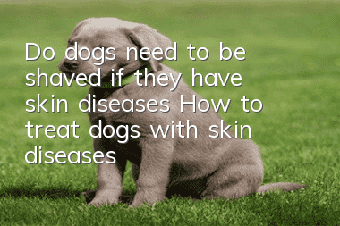 Do dogs need to be shaved if they have skin diseases? How to treat dogs with skin diseases!
