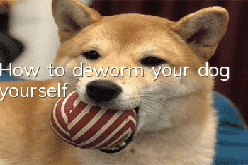 How to deworm your dog yourself