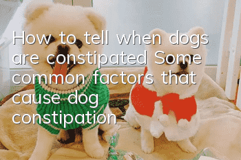 How to tell when dogs are constipated? Some common factors that cause dog constipation!