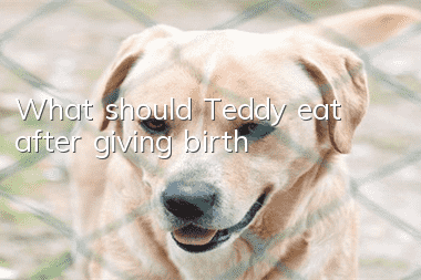 What should Teddy eat after giving birth?